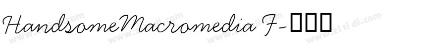 HandsomeMacromedia F字体转换